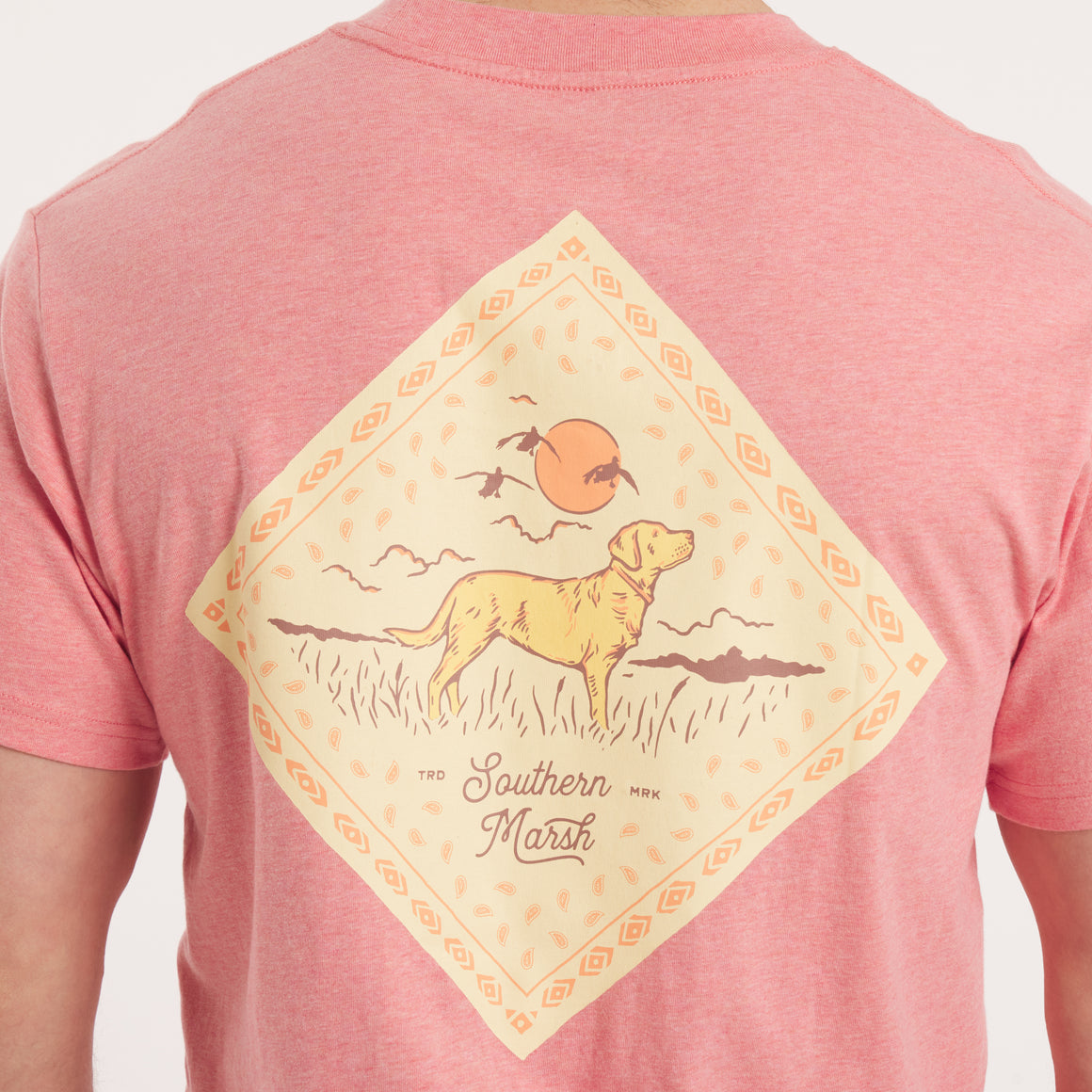Washed Rhubarb | Back Detail