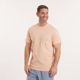 Terracotta | On Model Front