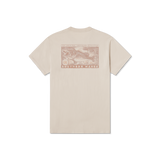 Ash Gray