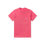 Hibiscus Pink | Front