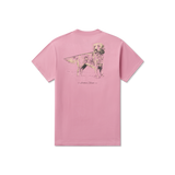 Cherry Blossom