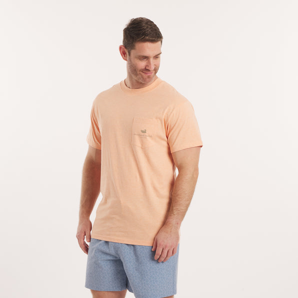 Washed Sherbet | On Model Front
