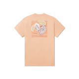 Sherbet