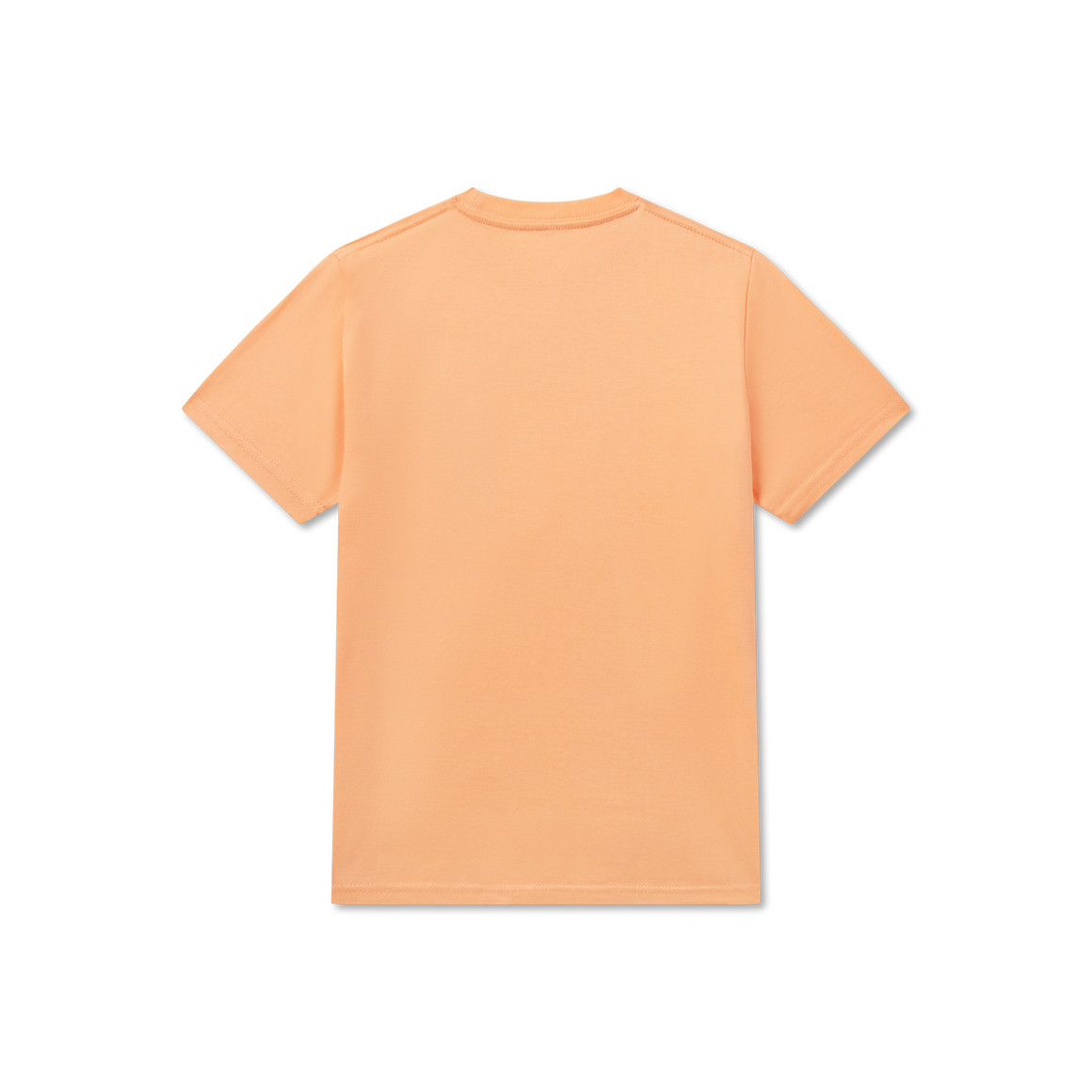 Melon with Blue | Back
