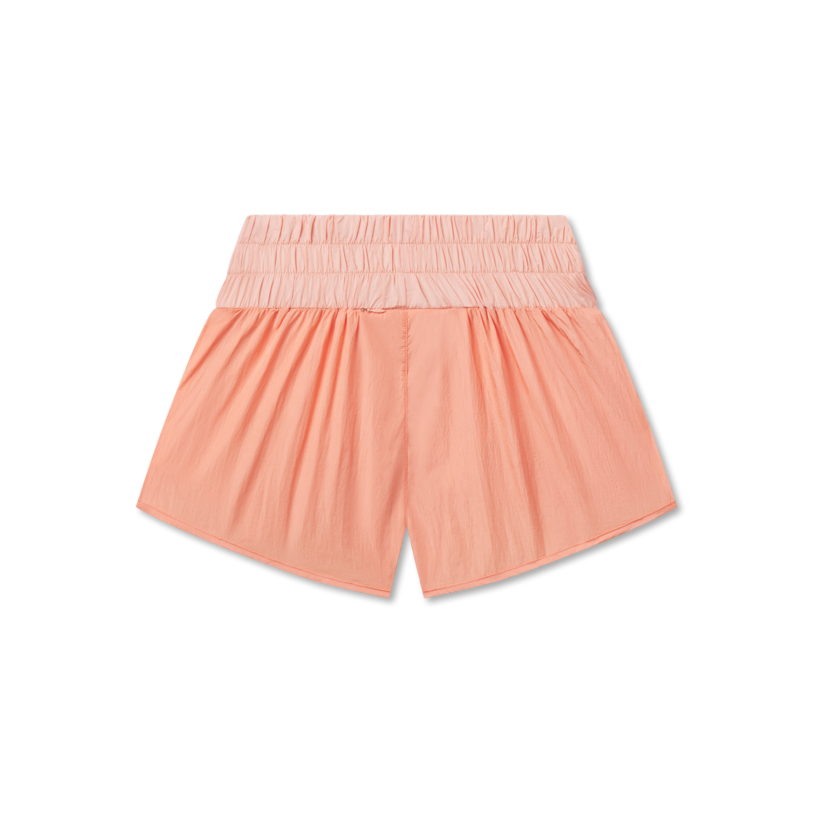Peach and Camellia | Back