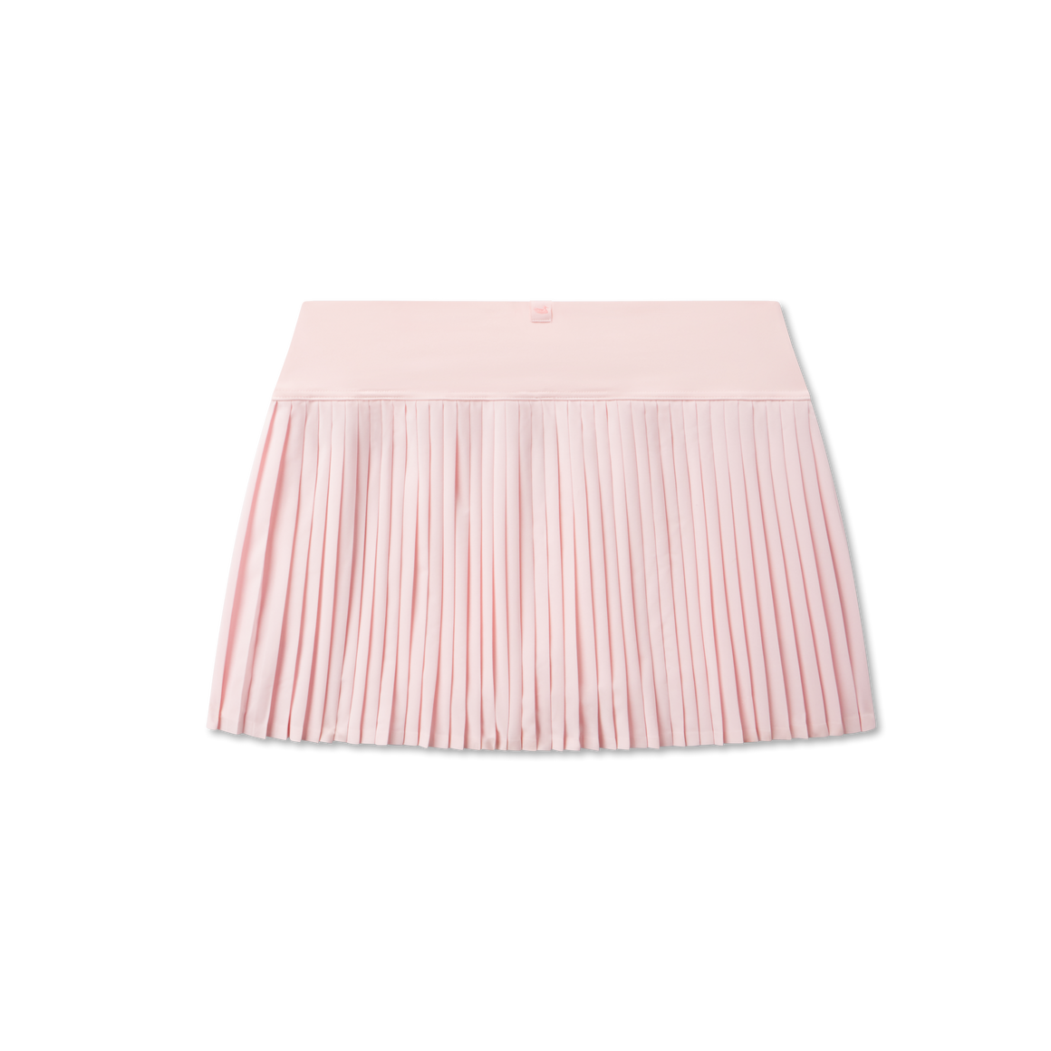 Camellia | Back