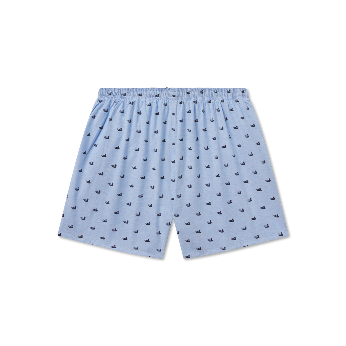 Light Blue with Navy Ducks | Back View
