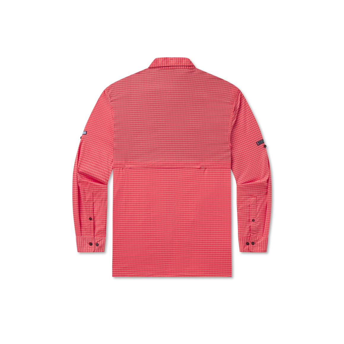 Coral Perdido | Back