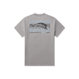 Midnight    Gray