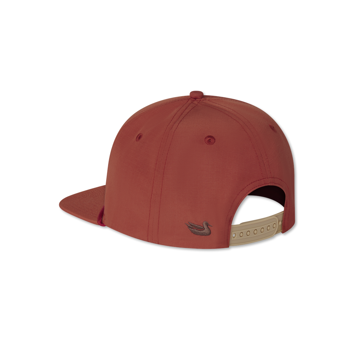 Maroon | Back