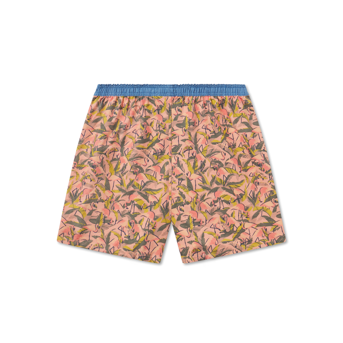 Coral Flamingos | Back