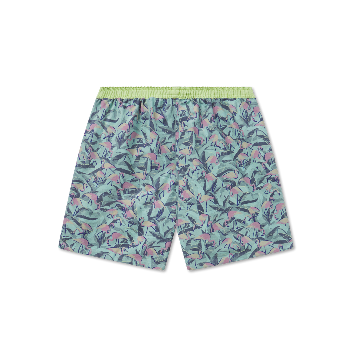 Sage Flamingos | Back