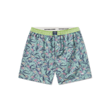 Sage Flamingos