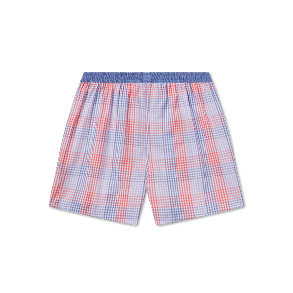 Purple and Lavendar Gingham | Hanover Gingham Boxer | Back