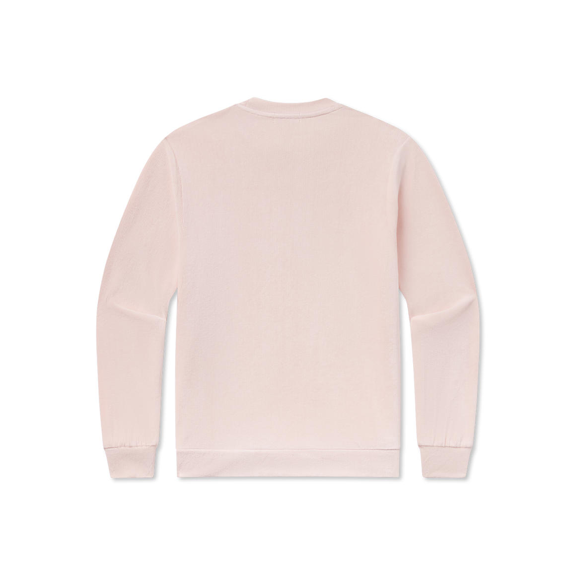 Cozy  Camellia | Back