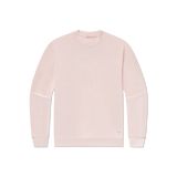 Cozy  Camellia