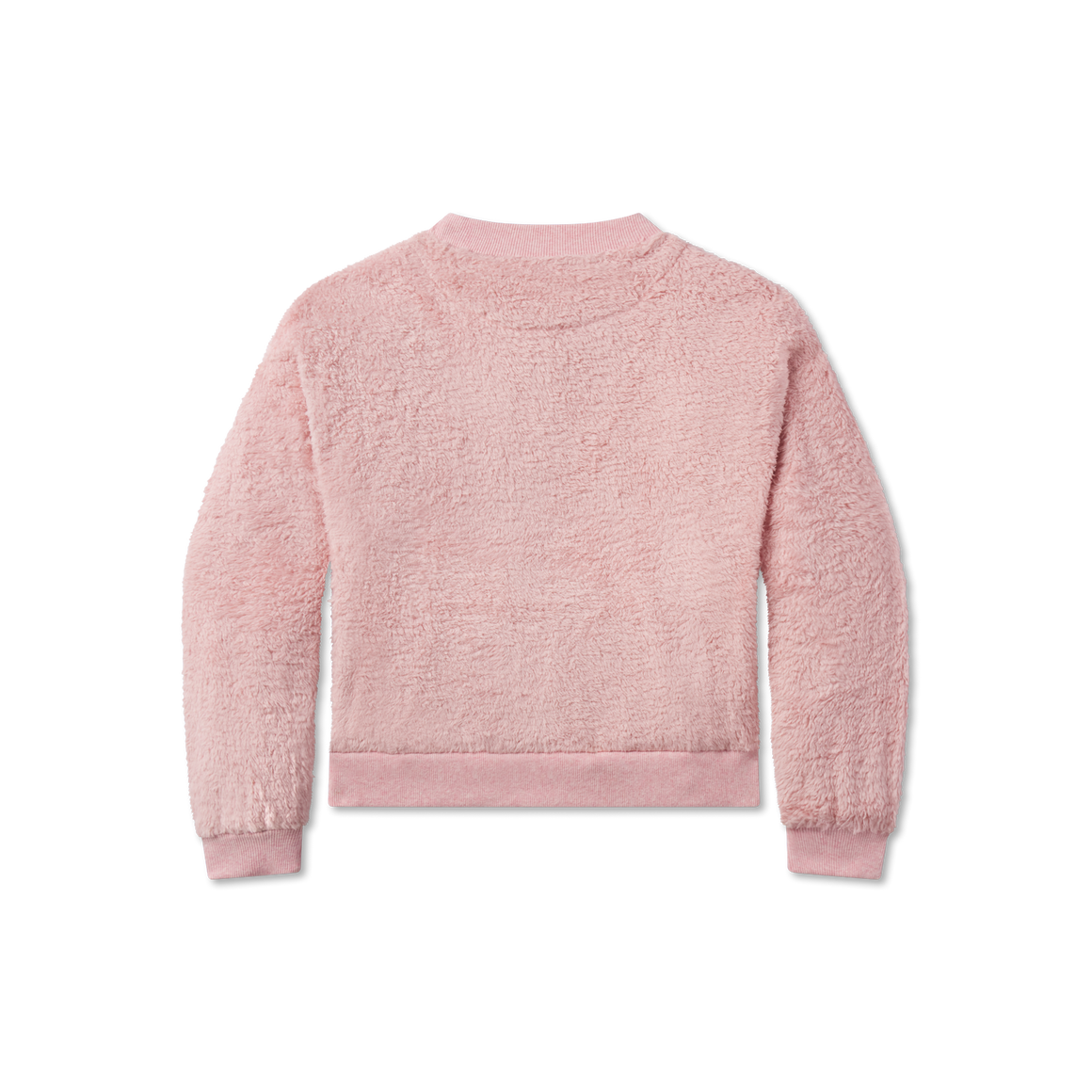 Camellia| Back