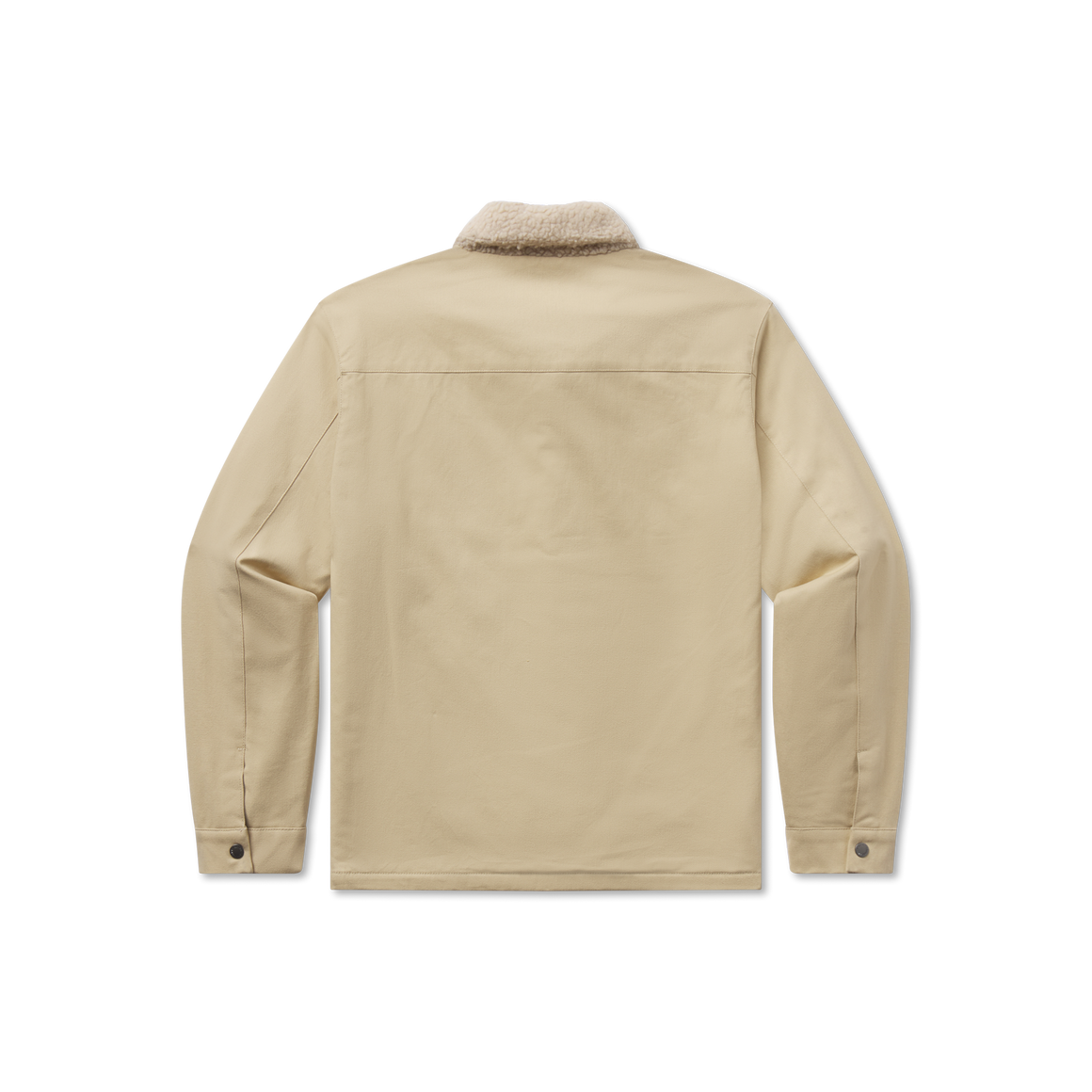 Audubon  Tan | Back