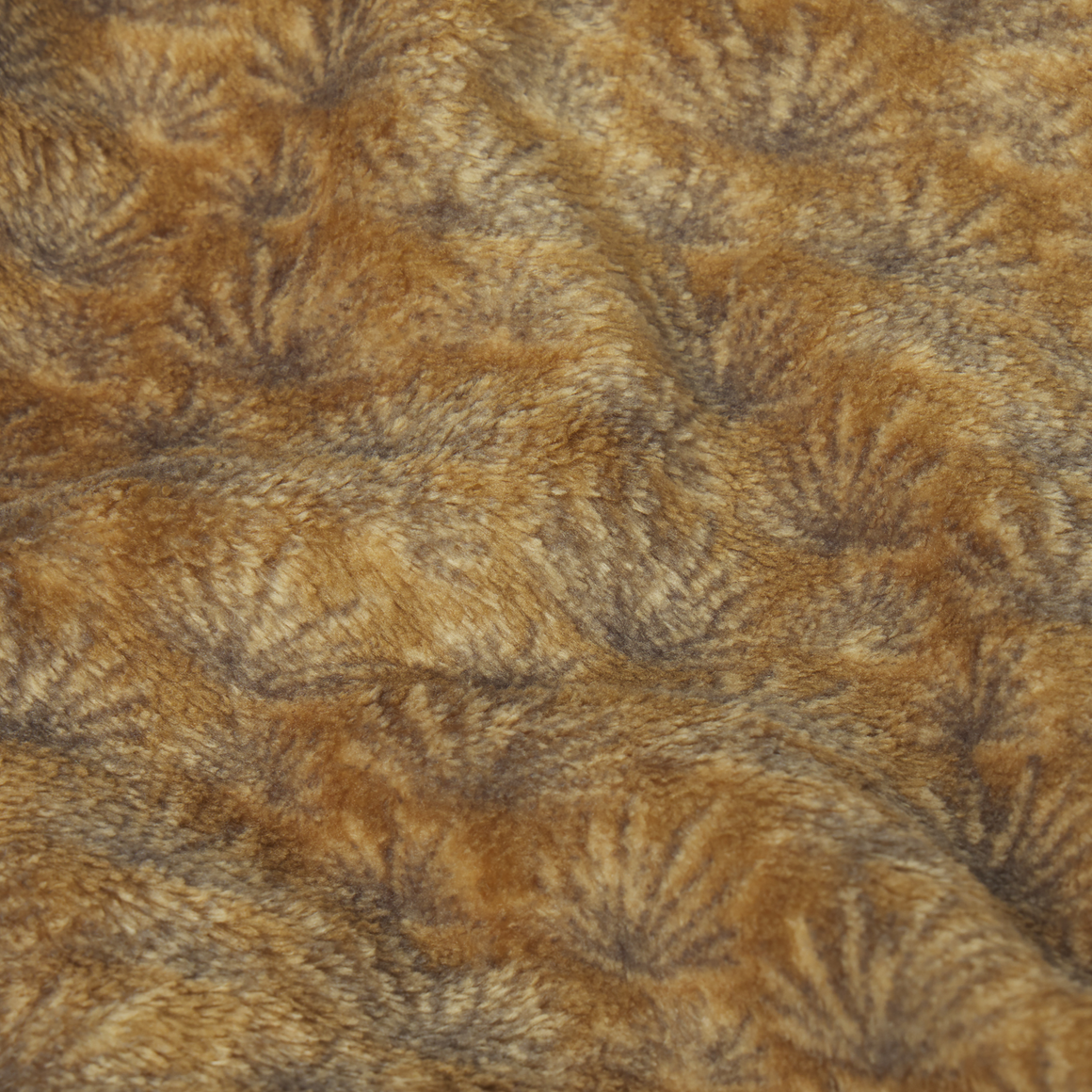 Field Khaki Jalisco | Detail Shot