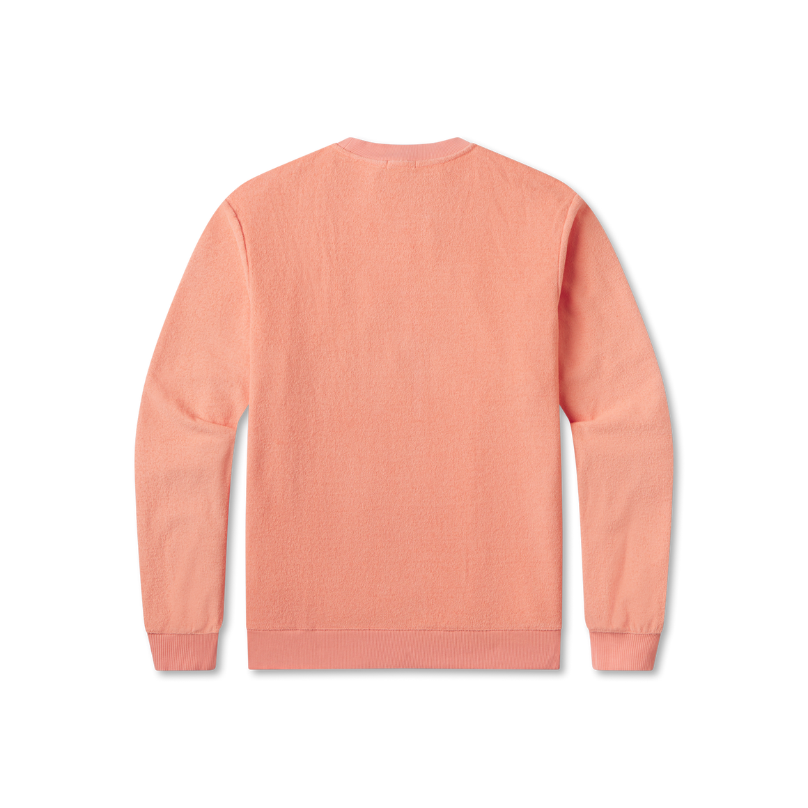 Coral | back
