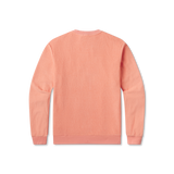 Coral | back