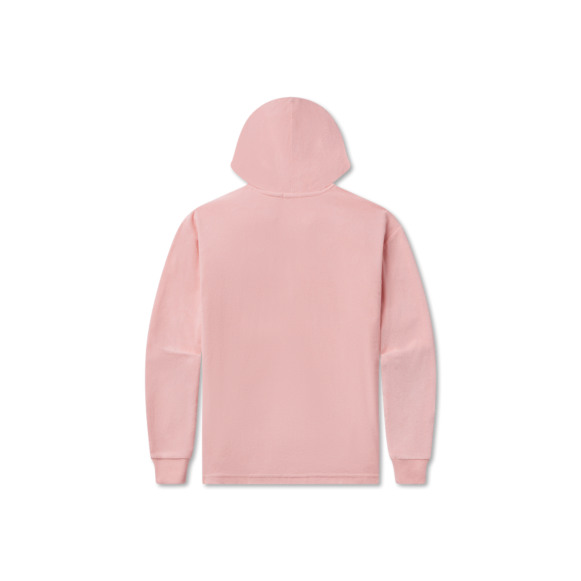 Camellia| Back