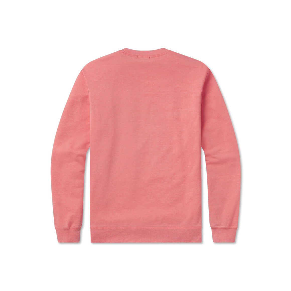 Coral | Back