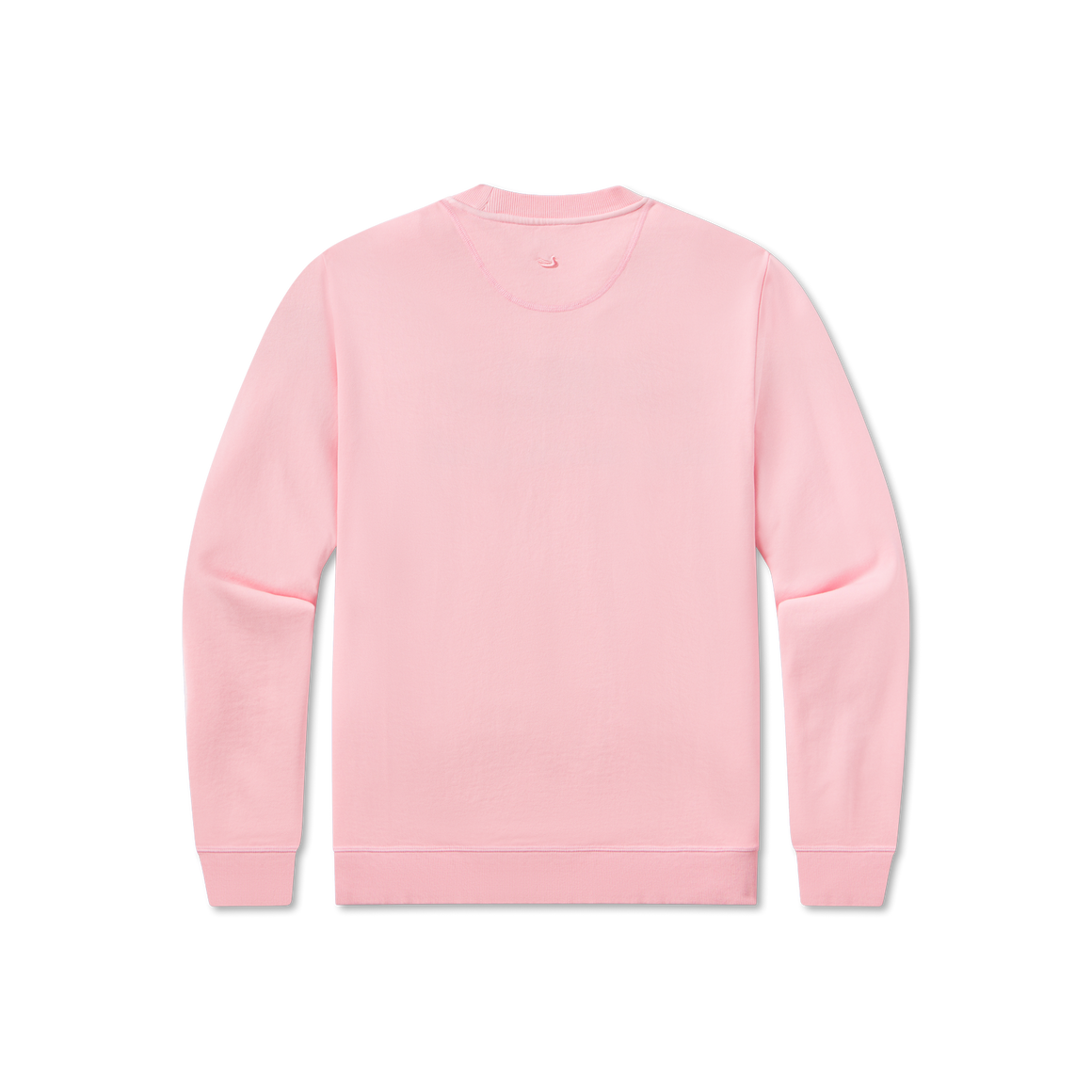 Camellia | Back