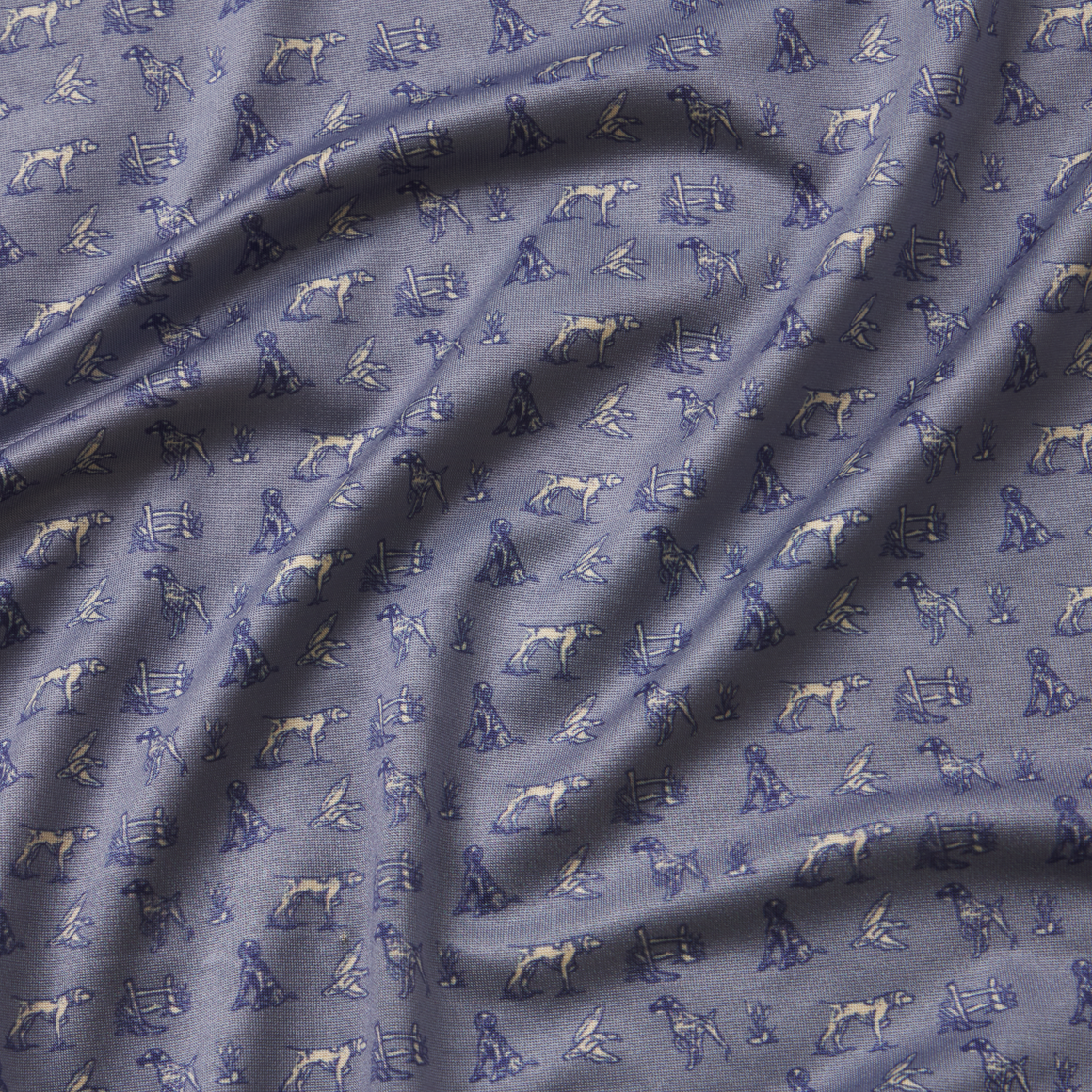 Washed Blue Pointer | Print
