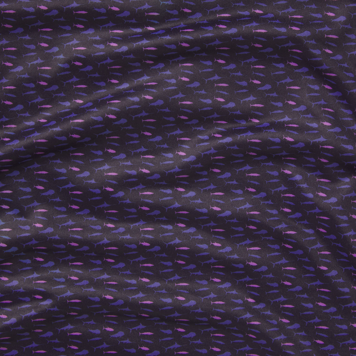 Black Summer School | Detail Zoom