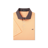 Orange & White