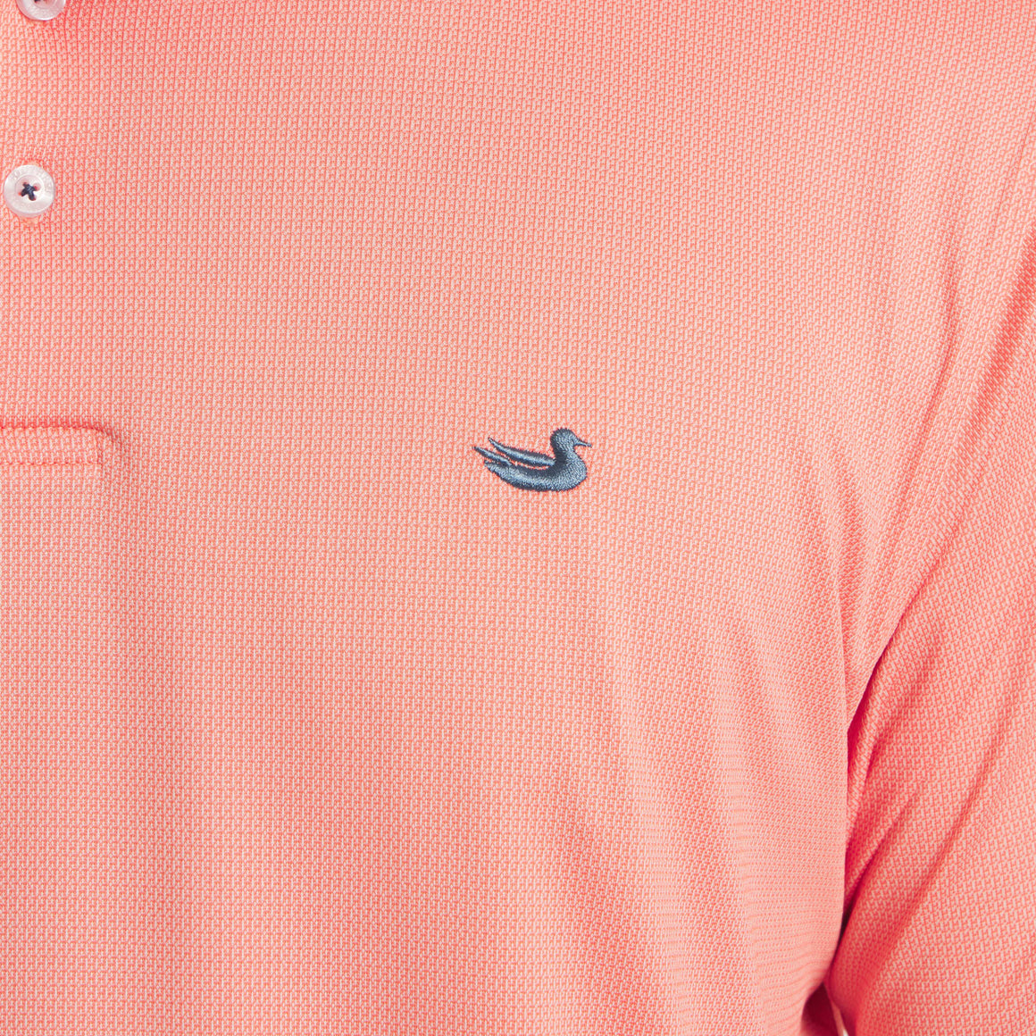Coral | Logo Detail