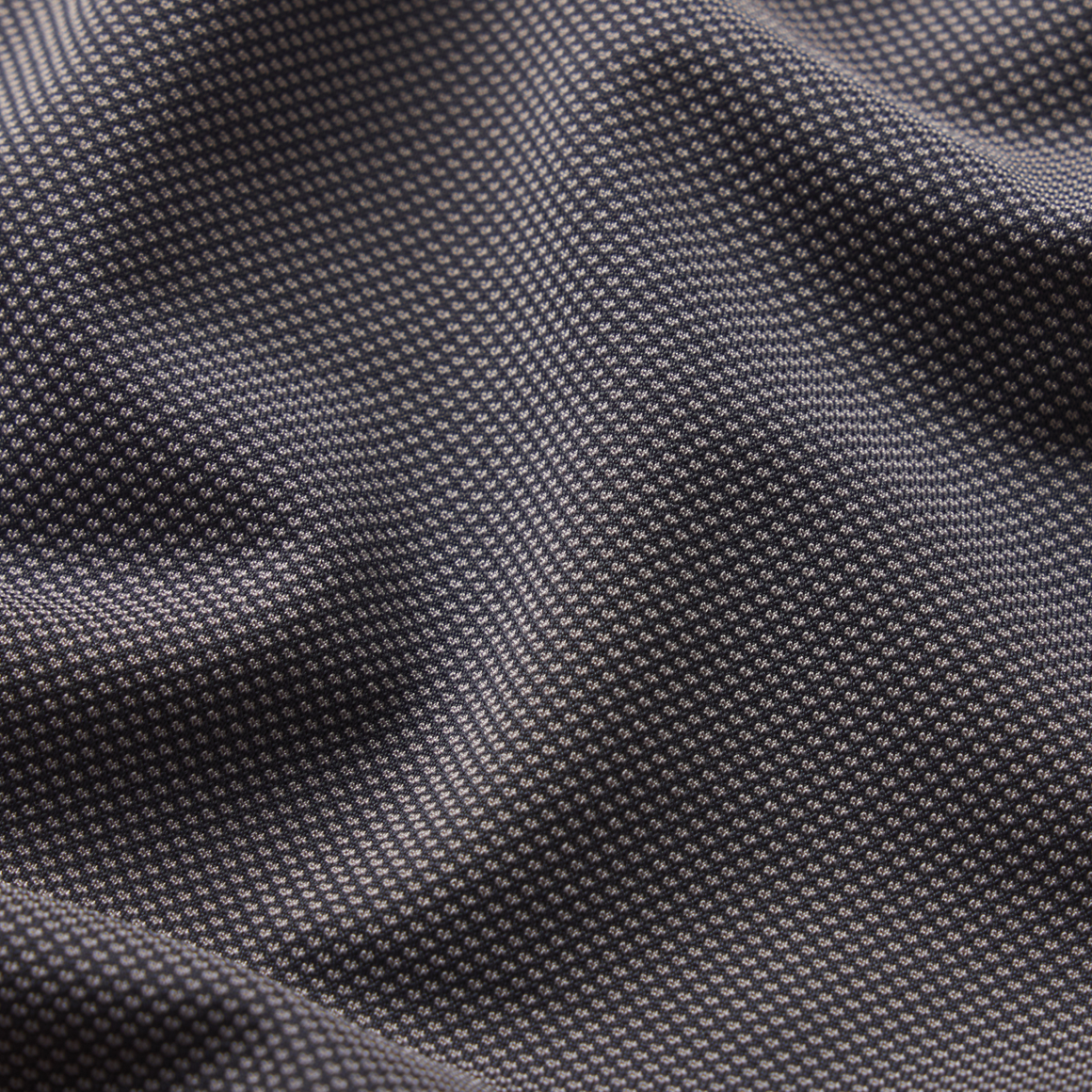 Black  With  Gold  Duck | Zoom Print
