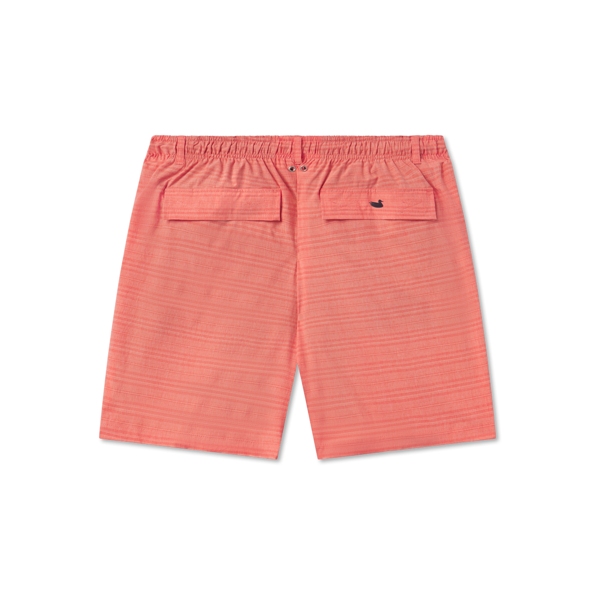 Coral | Back