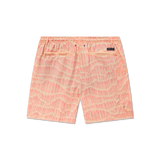 Peach | Back