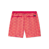 Strawberry Fizz and Tangerine | BACK