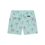 Antigua Blue | Back