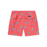 Coral | Back