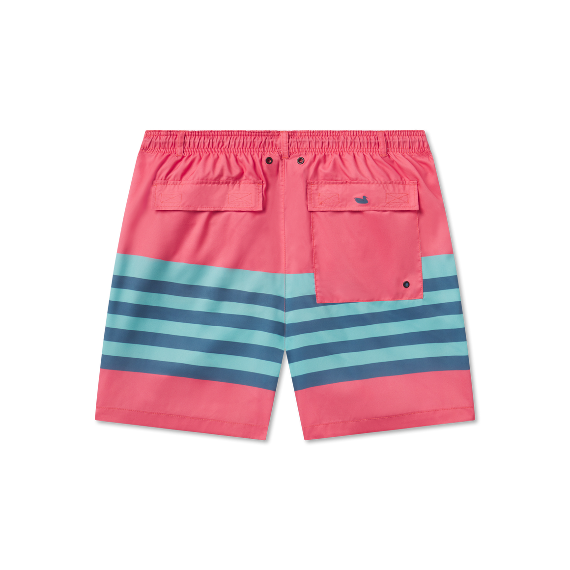 Coral | Back