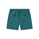 Navy & Mint Limes | Back