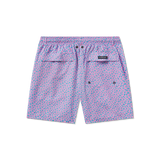 Pink & Blue Limes | Back