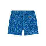 Royal & Lime | Back