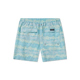 Blue and Lime | Back