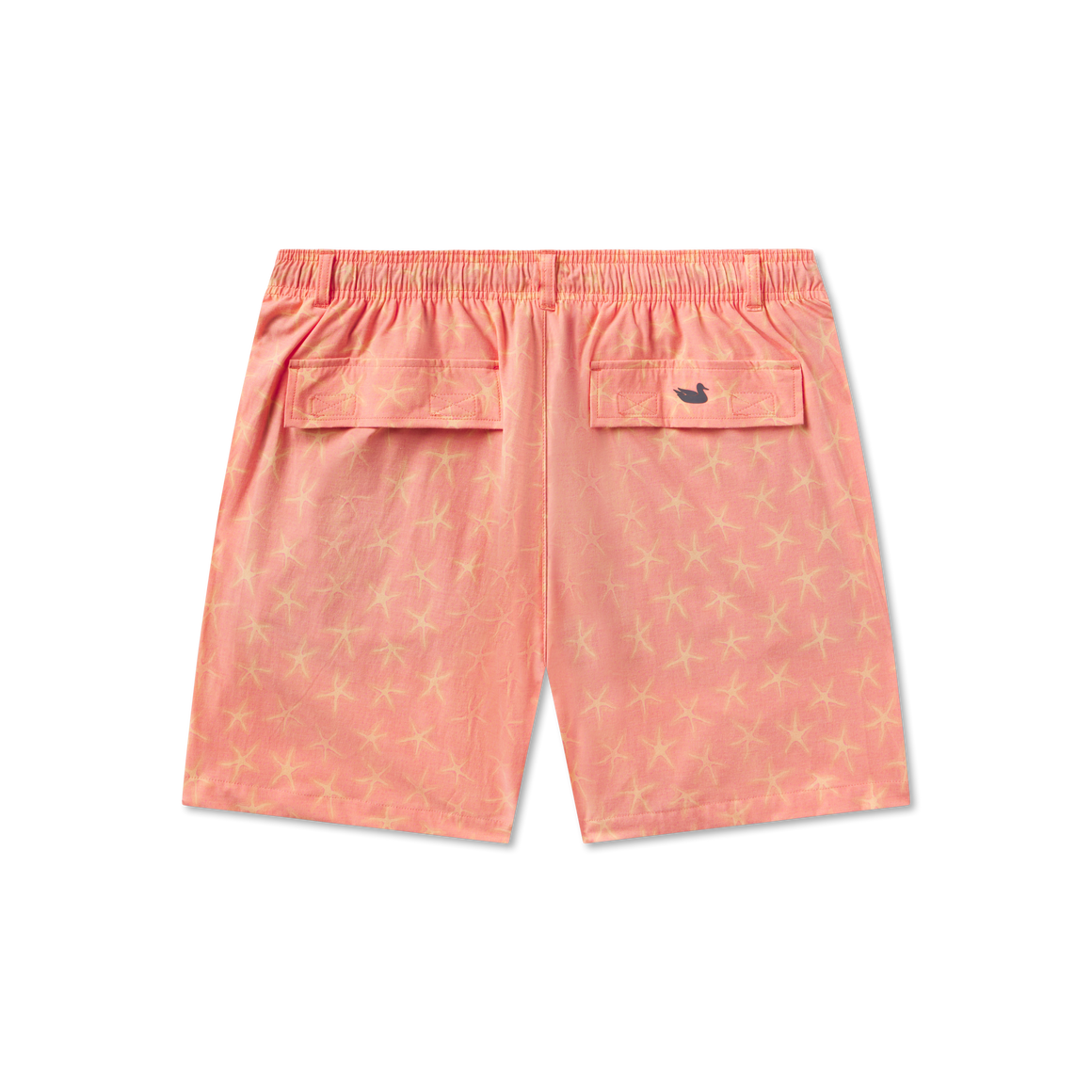Coral & Peach Starfish | Back