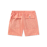 Coral & Peach Starfish | Back