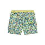 Teal Bayside | Back