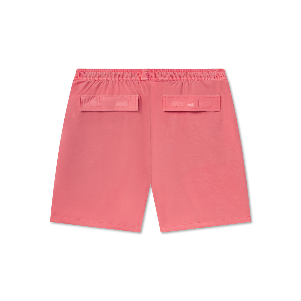 Coral | Back