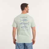 Seafoam | On Model Back