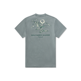 Seawash Burnt Sage