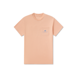 Terracotta | Front